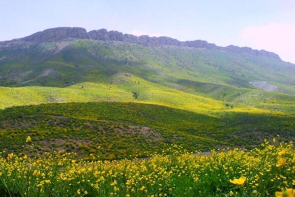 افزایش 100 درصدی گردشگری خارجی در کهگیلویه و بویراحمد